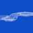 robdaneel