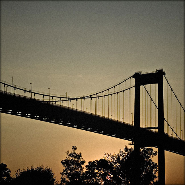 DSC_2898b.jpg