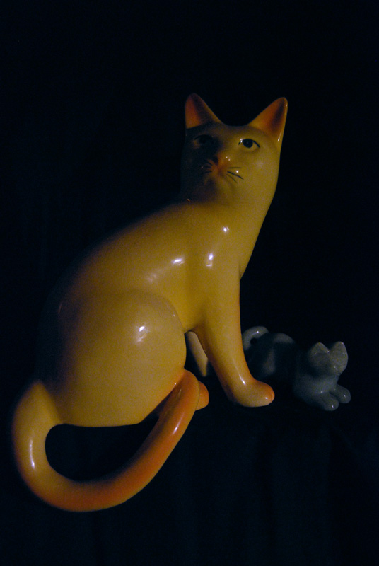 DSC_0229_72h_couple_de_chats_BDef.jpg