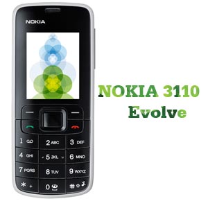 nokia-3110-evolve.jpg