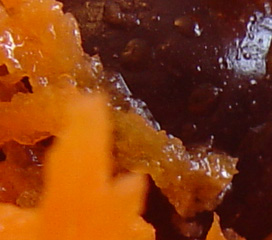001-1.jpg