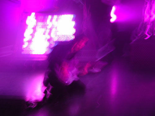 muse.jpg