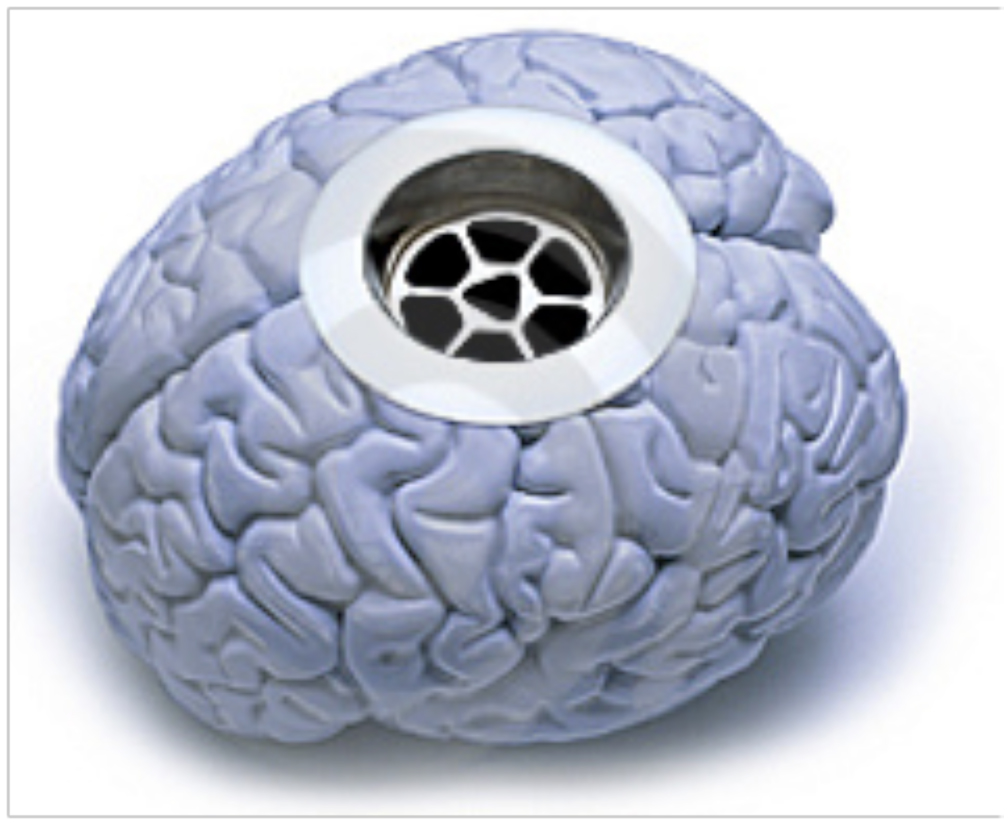 brain.jpg