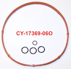 CY-17369-06O.jpg