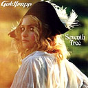 goldfrapp.jpg