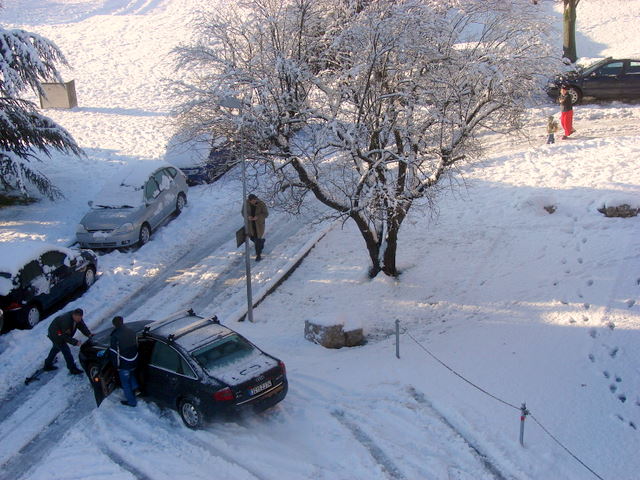 03010.jpg