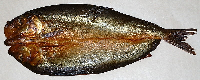 800px-Kipper.jpg