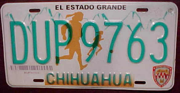 CHIH_Chihuahua_DUP9763.jpg