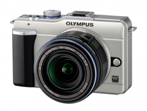 e-pl11-300x228.png