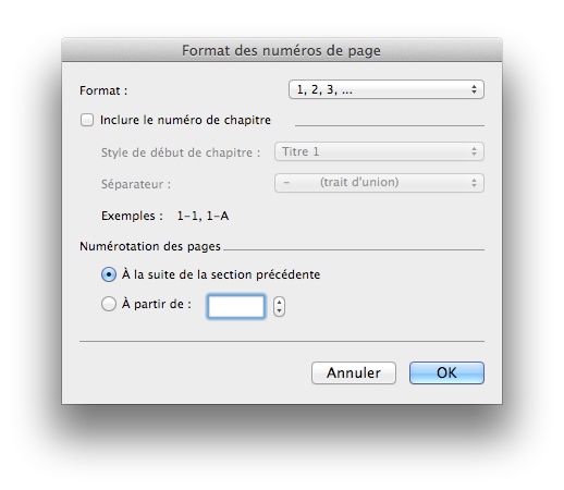 FormatNumerotationWord.jpg