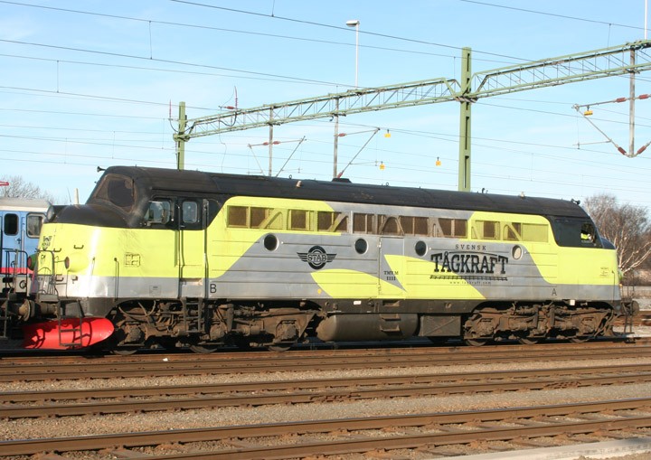 10545.jpg