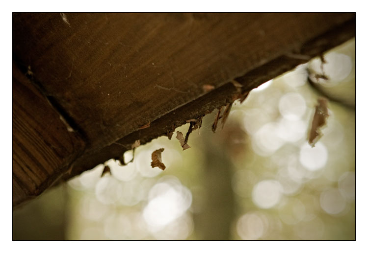 cache_Cabane%20toile-sRGB-700-cadreweb.jpg