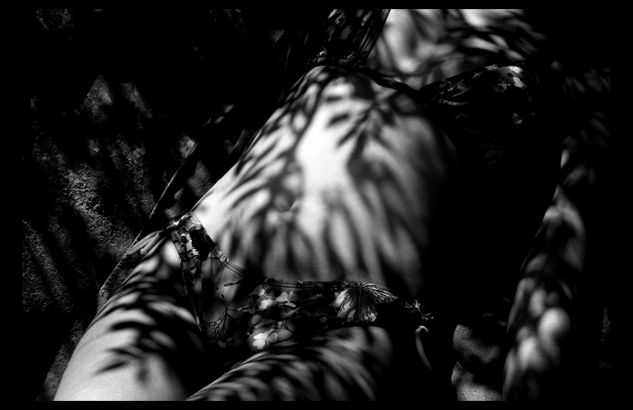 camouflage_1.jpg