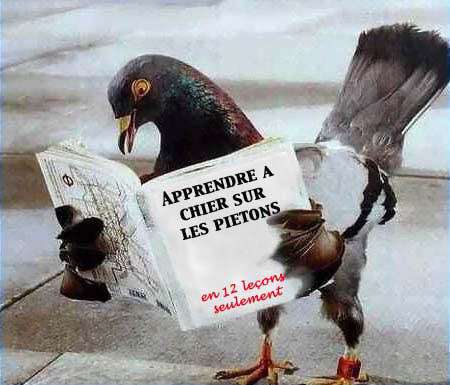 apprendre-a-chier-sur-les-pietons.jpg
