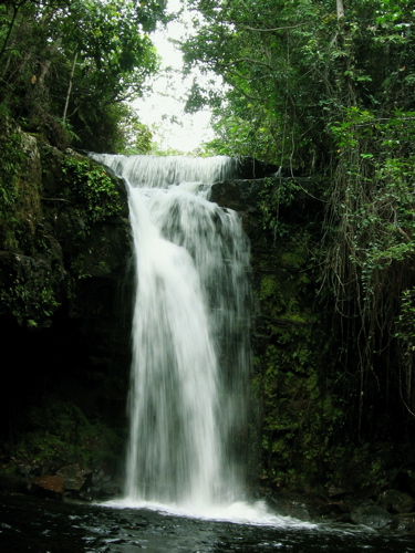 chute.jpg