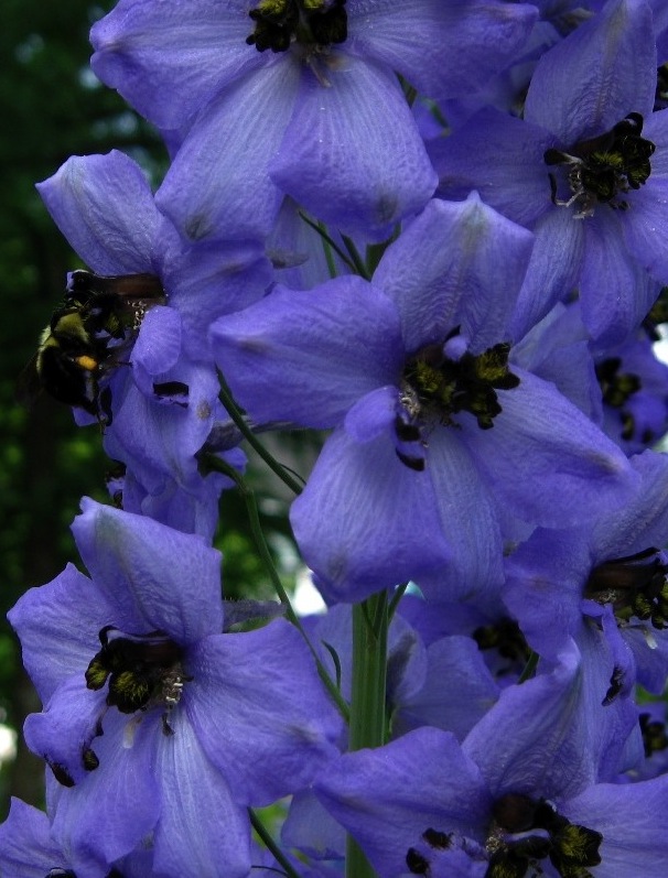 20100610.jpg