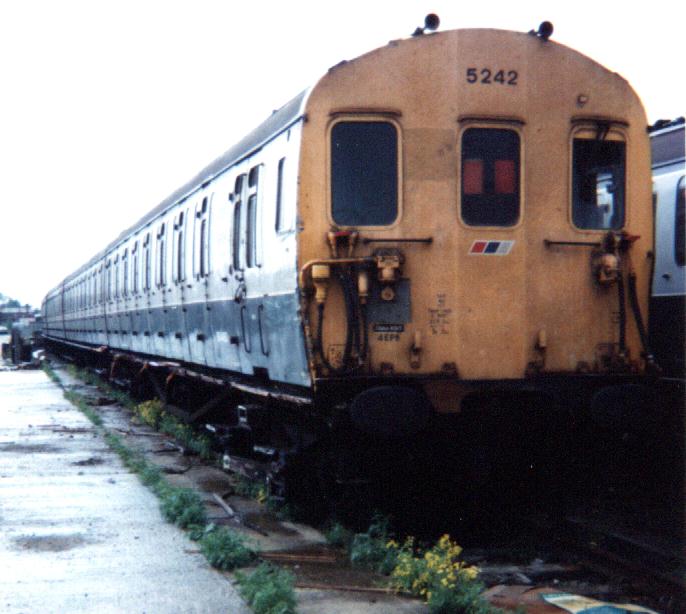5242.JPG