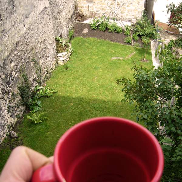 garden.jpg