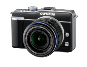 e-pl19-300x230.png
