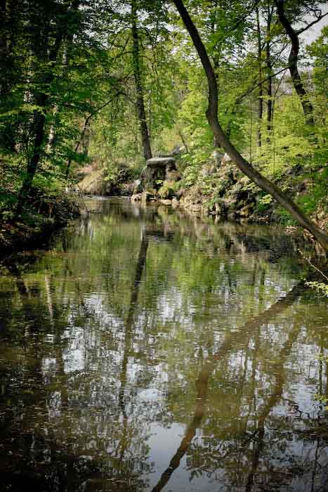nature1.jpg