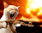 chat-kalach.gif