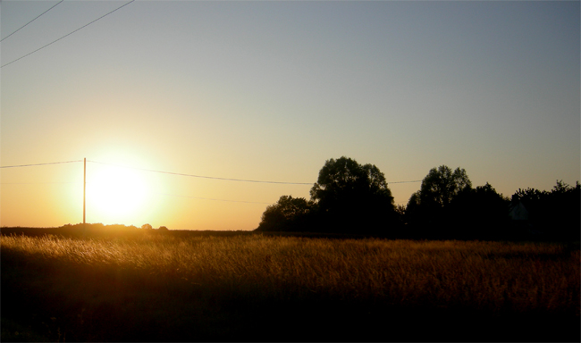 190842566_7f15c09b60_o.jpg