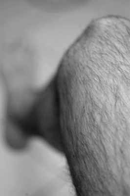 leg.jpg