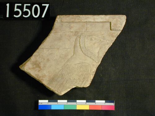 uc15507.jpg