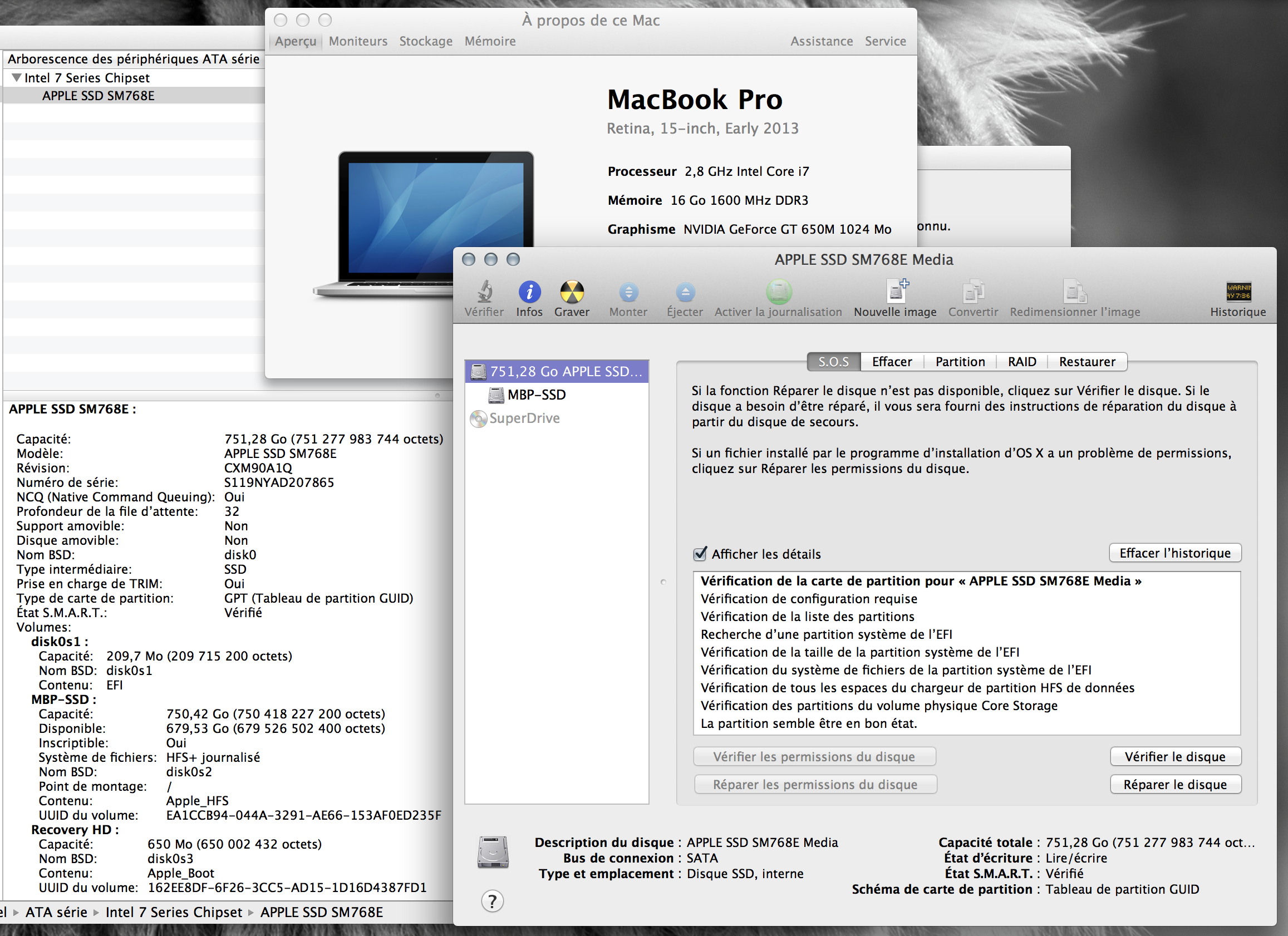 config1-lv.png
