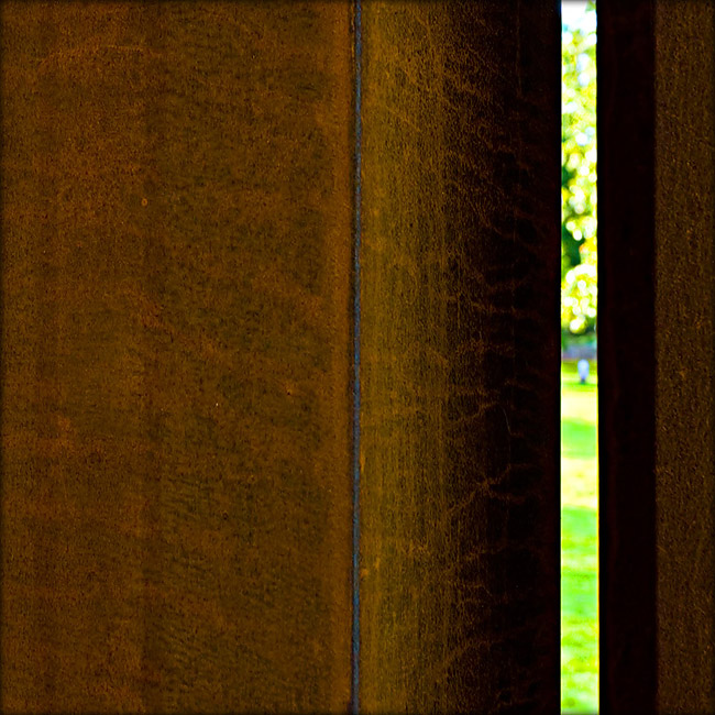 DSC_1499.jpg
