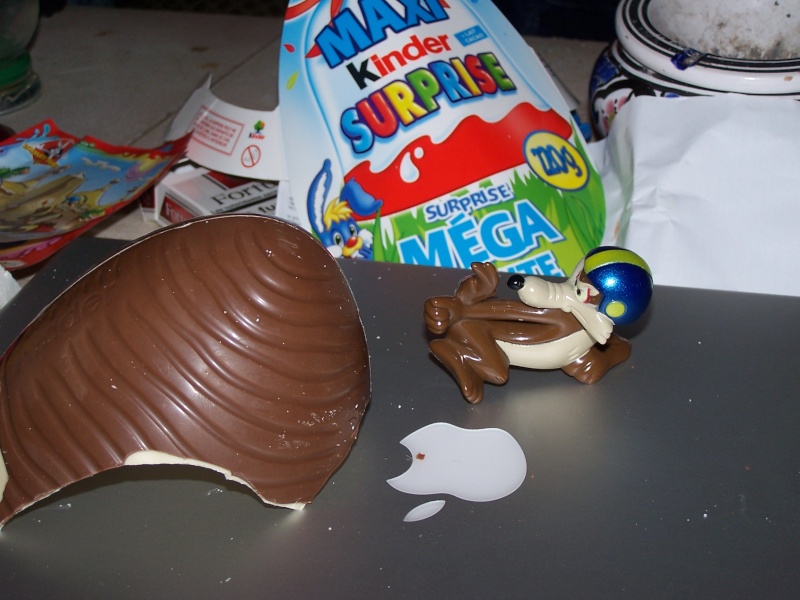 100_6710.jpg