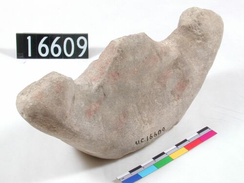 uc16609.jpg