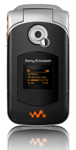 w300-1.jpg