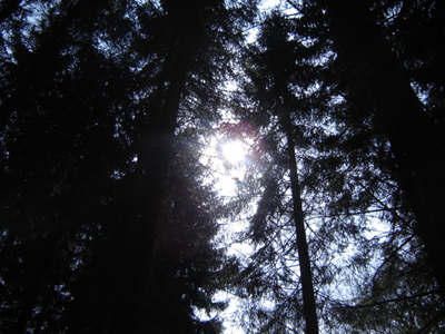 clair-obscur.jpg