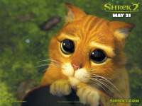 Shrek2-04-ChatPotte.jpg