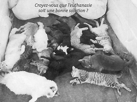 Euthanasie.jpg