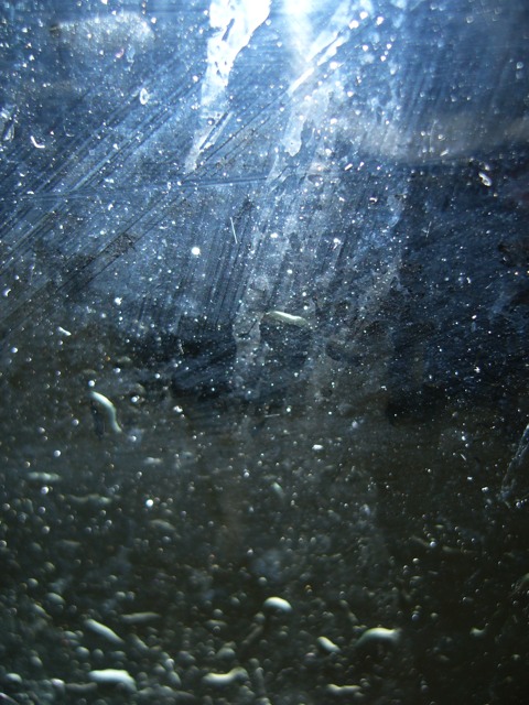 P1000041.jpg