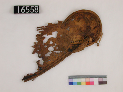 uc16558.jpg