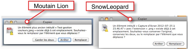 Copie Duplicate.jpg