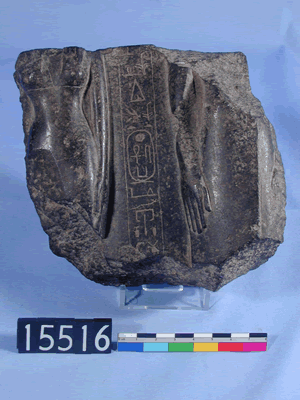 uc15516.gif