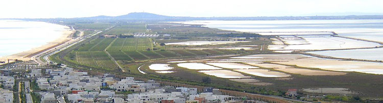 panoRamique.jpg