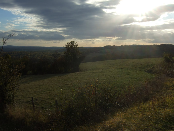 DSCF1015.jpg