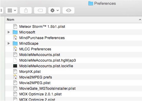 PrefMicrosoft.jpg