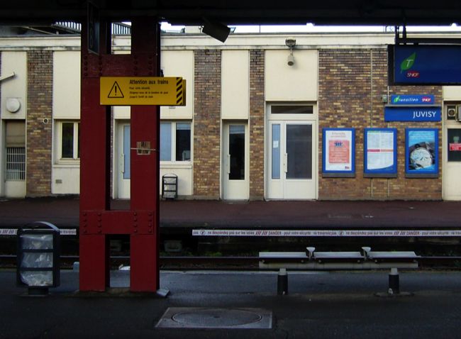 P1000434.jpg