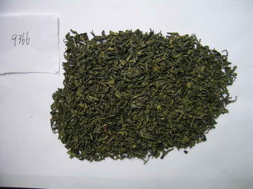 Green-Tea-Chunmmee-Meicha-9366-.jpg