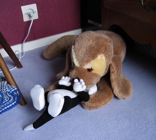 IMG3657.jpg