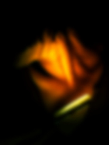 5111574783_08ca6837f4.jpg