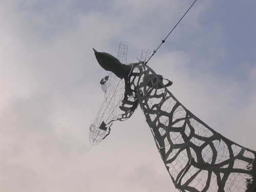 girafe.jpg