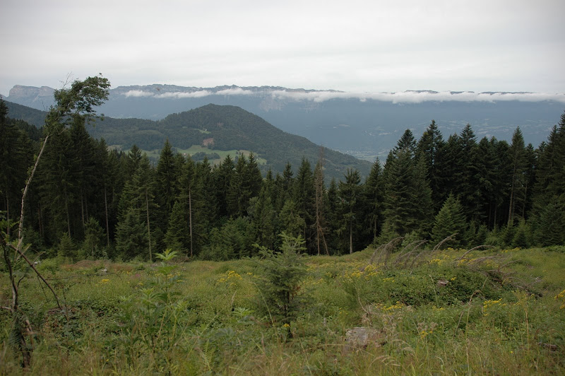 DSC_72322008-08-14.JPG