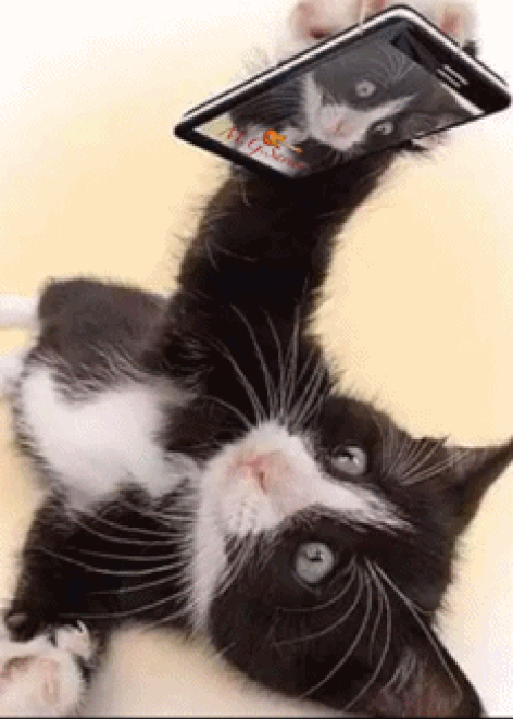 62ee69fdef1a51d602ec6cf4c974c0e8.gif